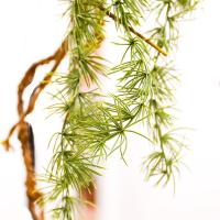 uploads/erp/collection/images/Home Garden/CongDing/XU0610933/img_b/XU0610933_img_b_3